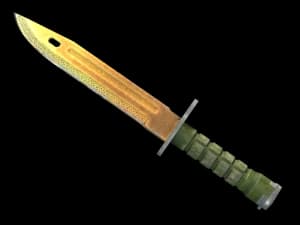 ★ Bayonet | Lore (Field-Tested)