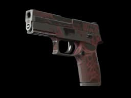 P250 | Contaminant (Battle-Scarred)