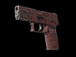 P250 | Contaminant (Field-Tested)