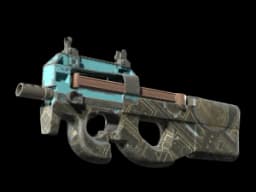 P90 | Facility Negative (Field-Tested)