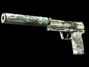 Souvenir USP-S | Road Rash (Well-Worn)