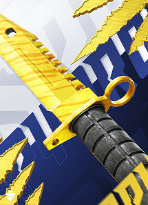 Expensive Knife
