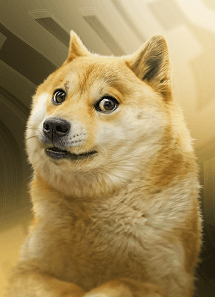 Doge